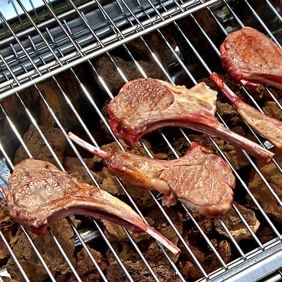 送料無料 極 インパクト絶大！BBQセット 2.6kg 6-10人前