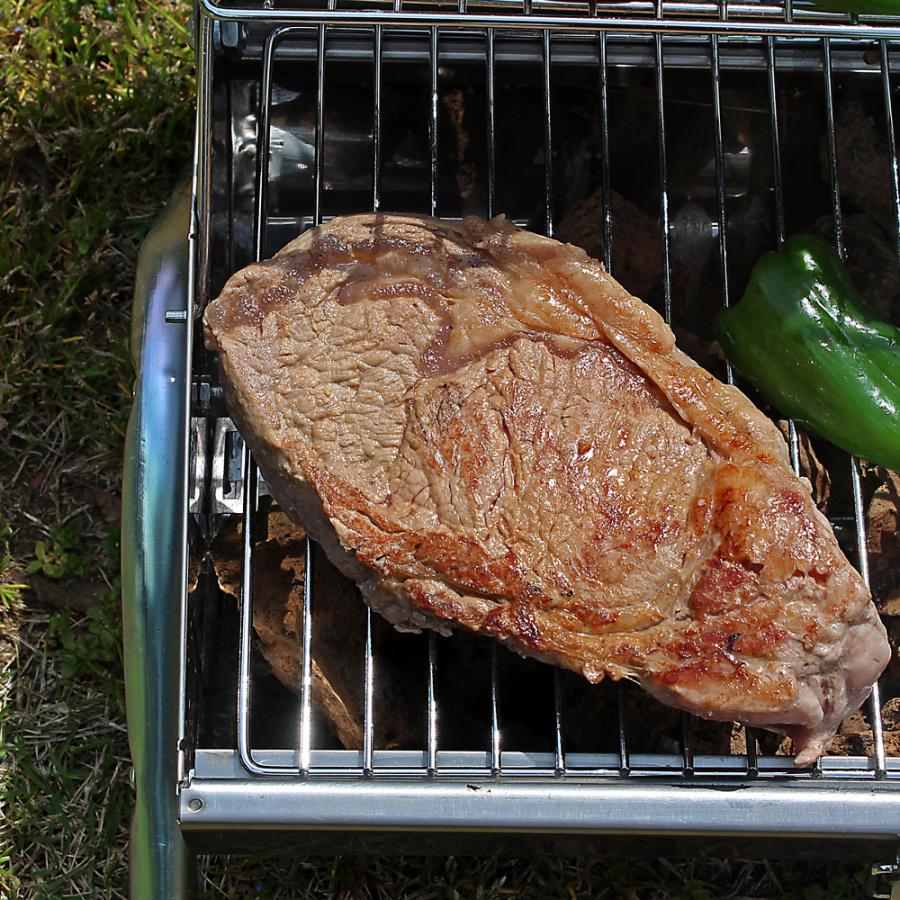 送料無料 極 インパクト絶大！BBQセット 2.6kg 6-10人前